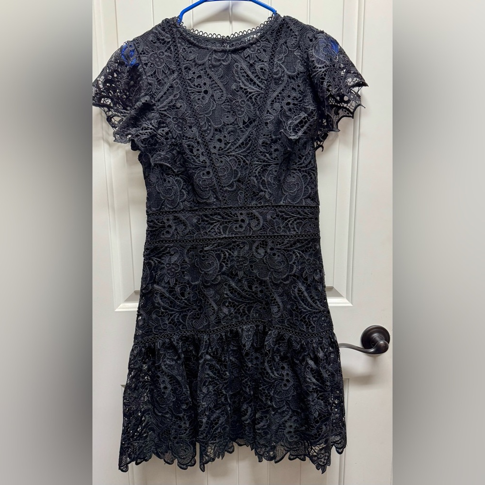 Express Black Lace Mini Dress